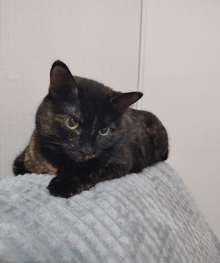 ����������� ����� ���� ���!