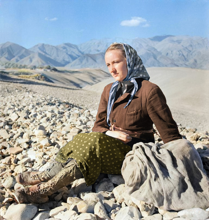 ��������: ����� �����