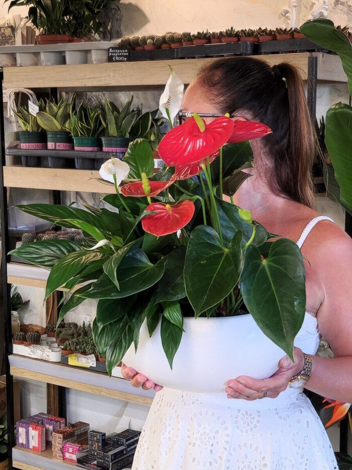 ��������: ��� �������� ������������ �������!