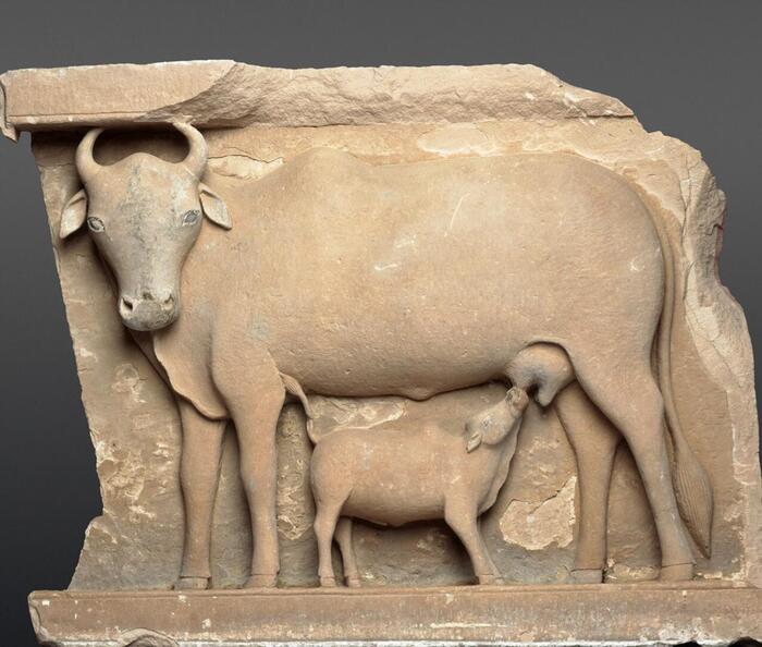 Корова, кормящая теленка. Около IX века, Индия, штат Мадхья-Прадеш. Художественный институт Чикаго.