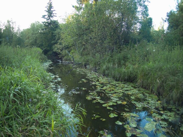 И снова река...