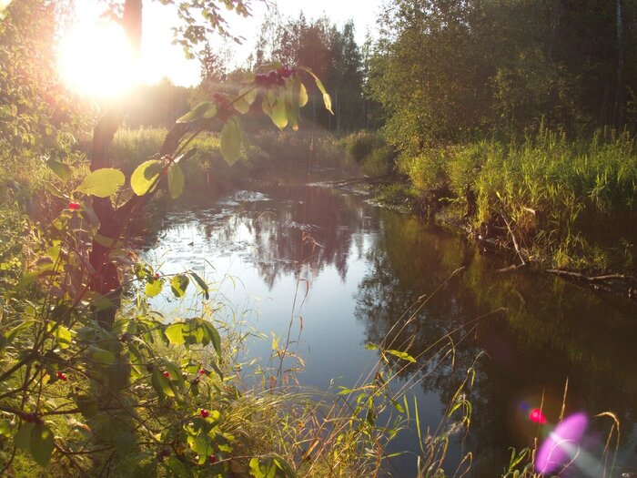 Река, сфотографированная в другом месте другой группой спасателей