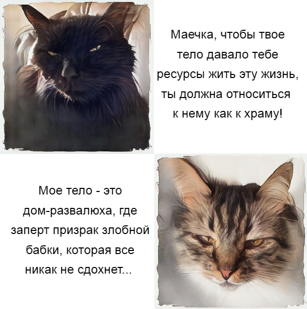  , , ,   