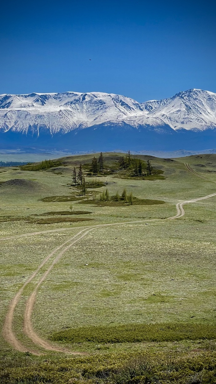 Республика Алтай, Курайская степь