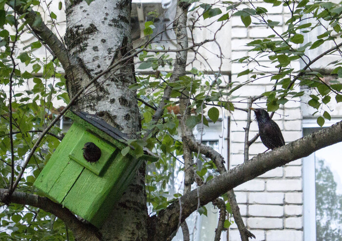 �������� ����� ������