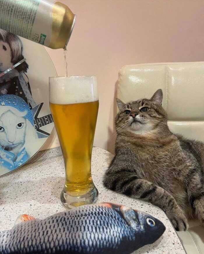   ! , , , ,   