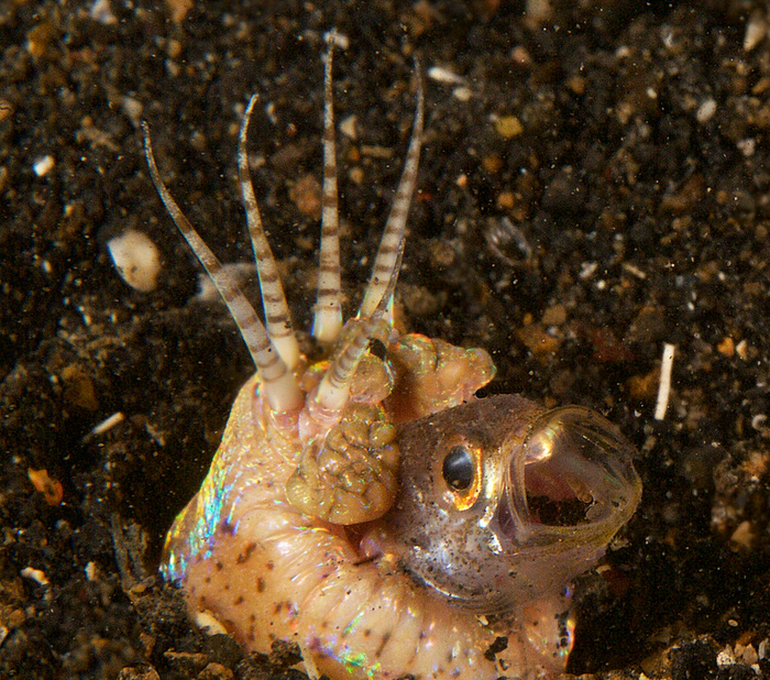 Когда перегрелся в спальном мешке и вылез немного подышать.