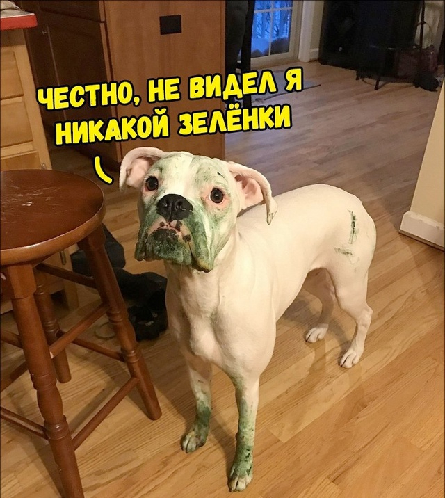     , , , 