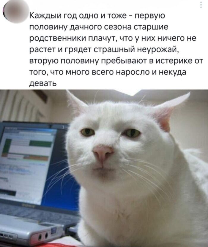 Каждый год