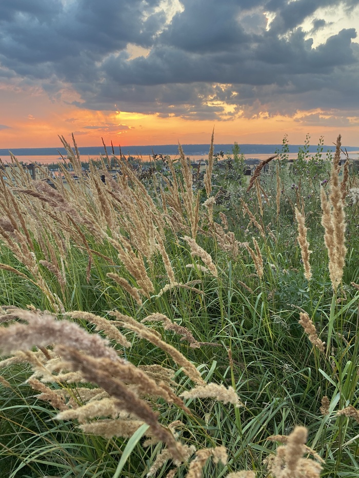 ������� �����