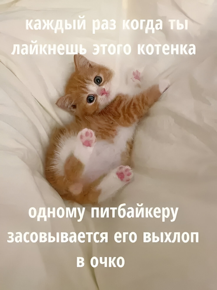 Ответ SenieorPomidor в «Погиб, уходящий от погони ДПС мотоциклист, люди на видео винят стражей порядка»