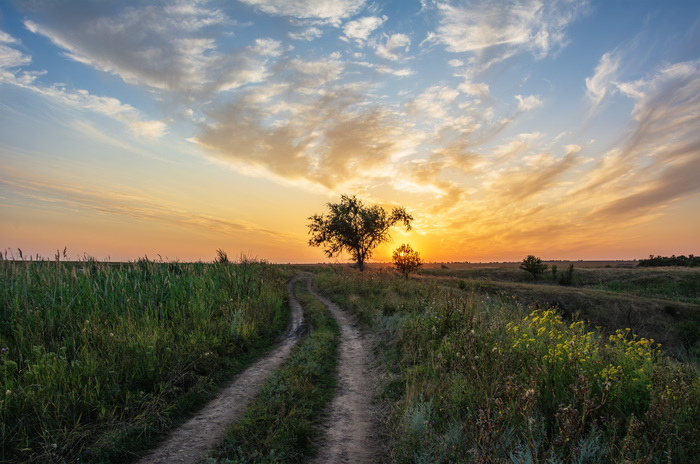 Дорога в золотую страну
