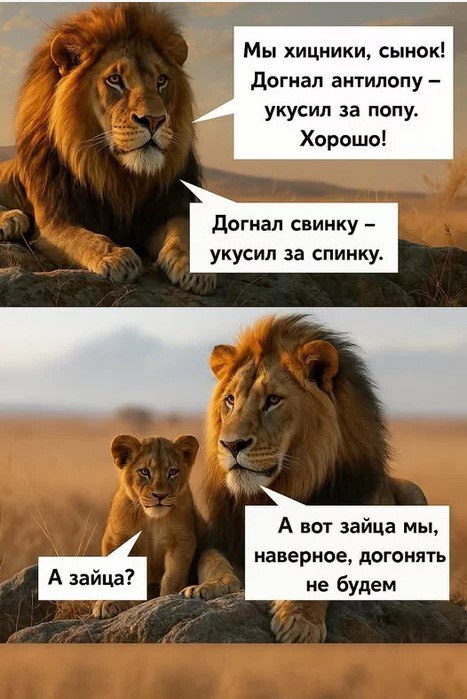 Лев и зайцы