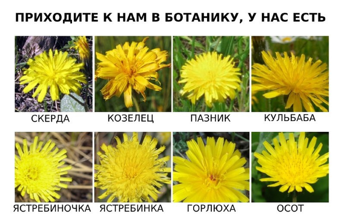 ,    , , , ,  ,  ,   (), 
