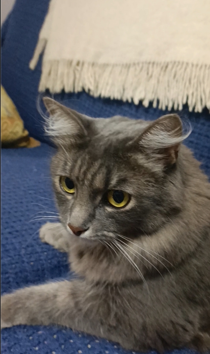    ,  , , , , 