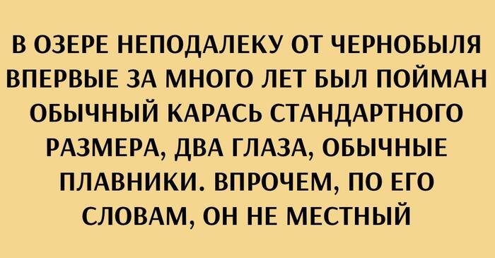        ,   , , , , Telegram ()