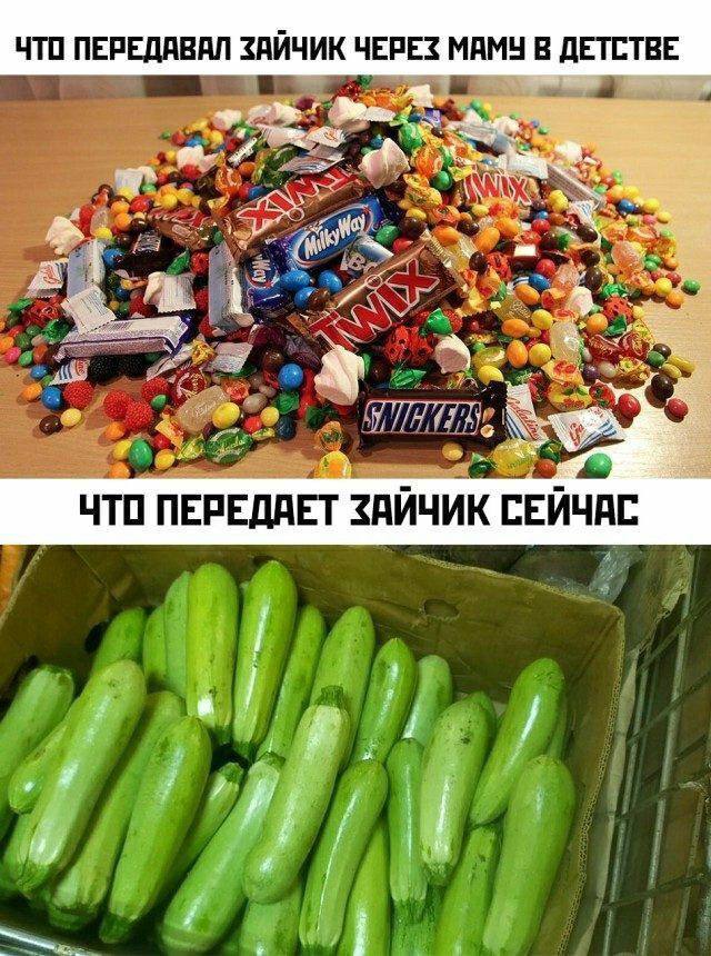  , ,  ,   , Telegram ()