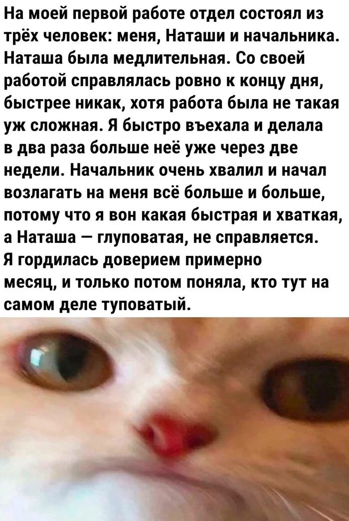 4ov2xpmf.webp
