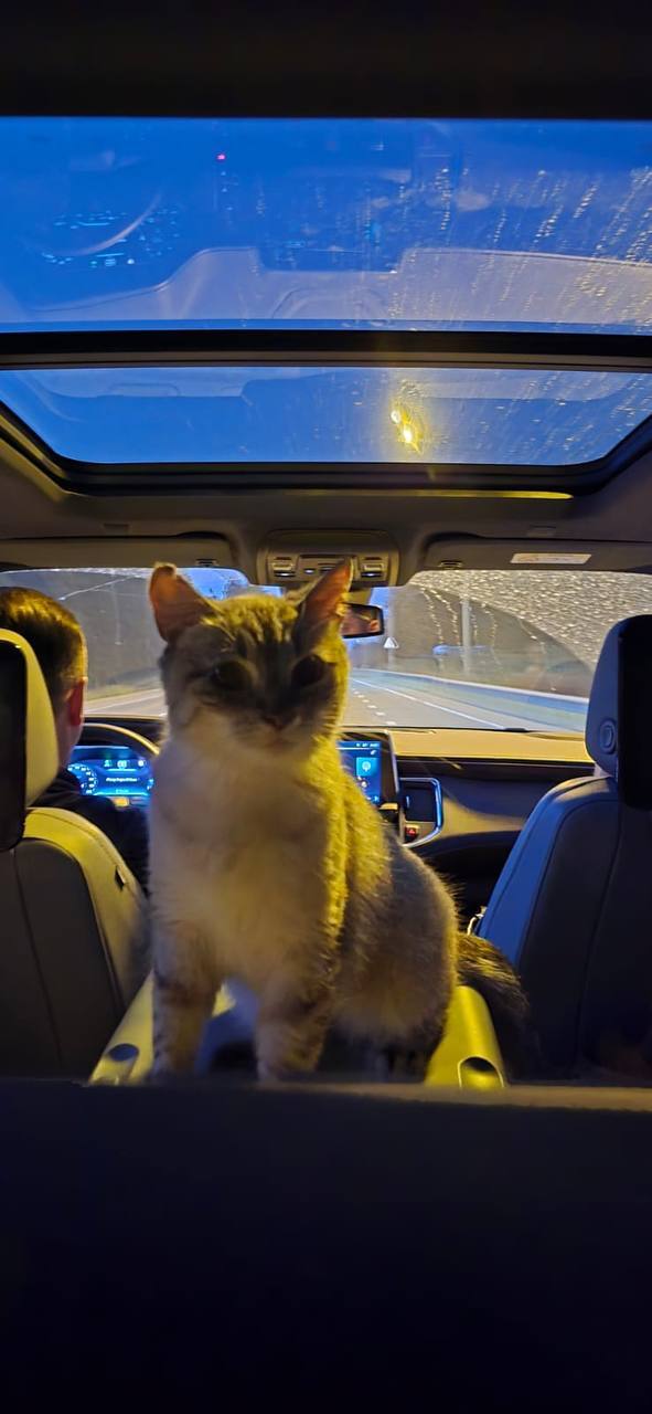 Мальвина любит путешествовать