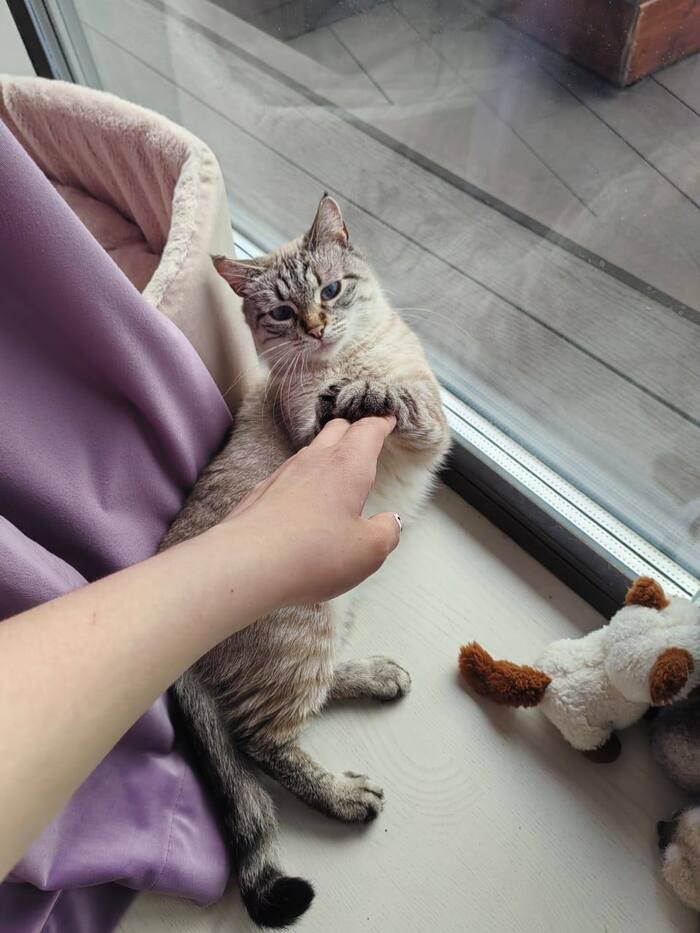 Мальвина любит поиграть