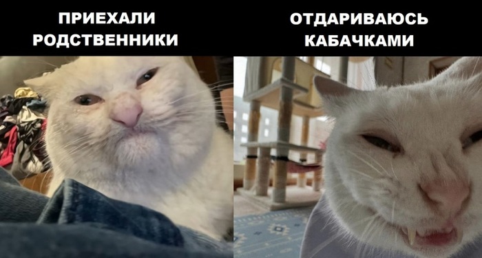      !