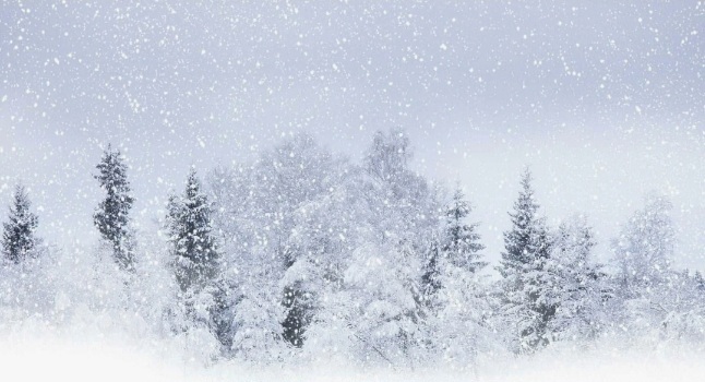 Трудное решение