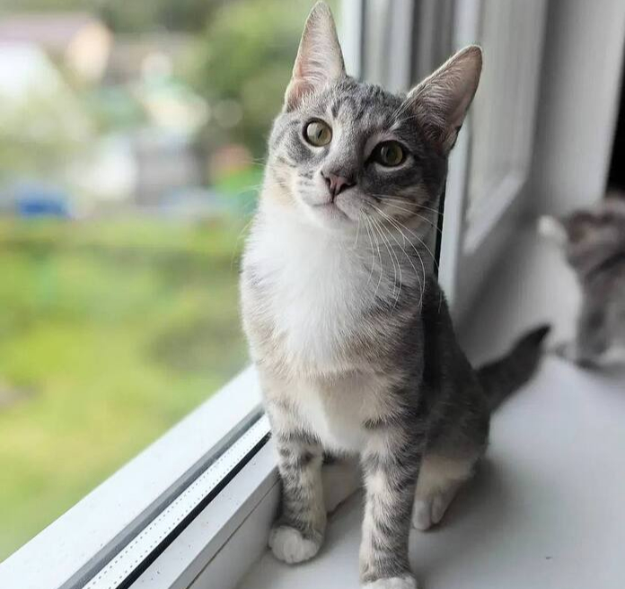 Самый лучший Сержик !