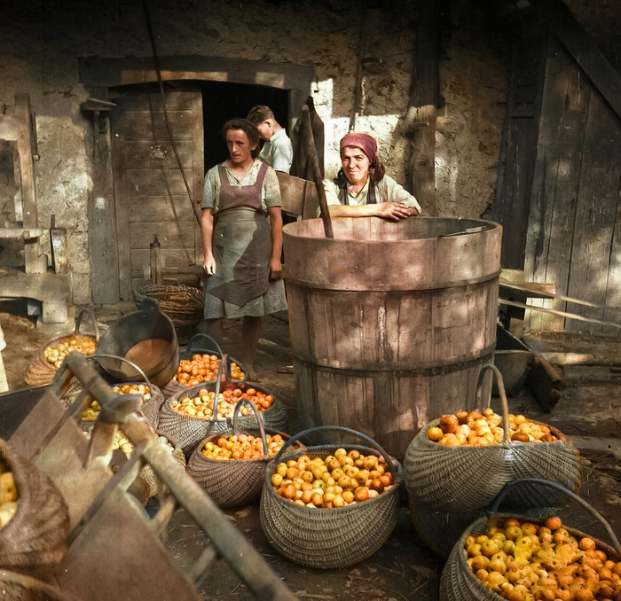 ��������: ����� ����