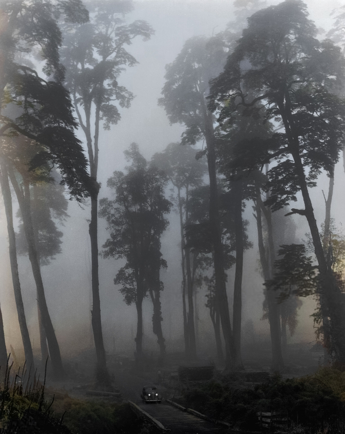 ��������: ���� �����