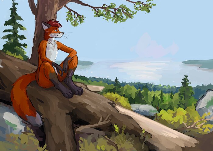  , Furry Canine, Furry Fox, , , , , Furry Art, 