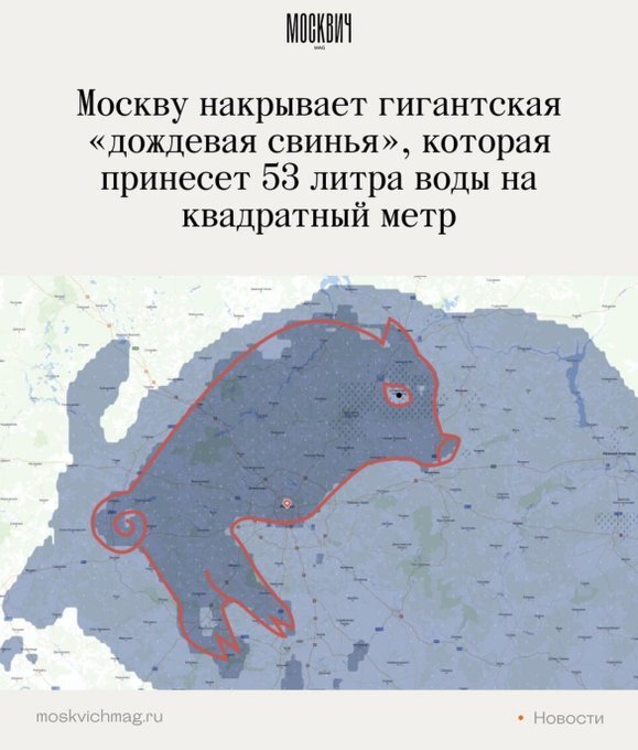 Дождевая свинья