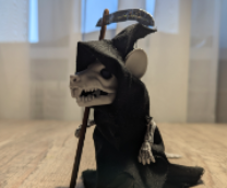 ������ ����