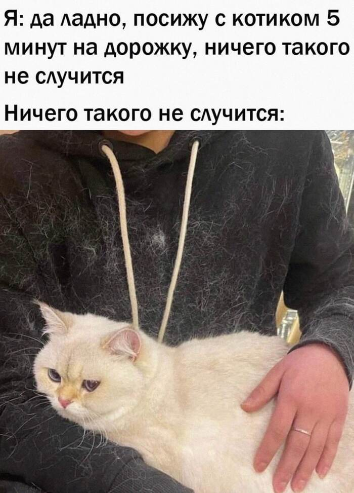     ? ,  ,  , , , , 