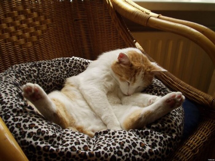 �������� �������� ����� ����