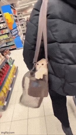   , , , 