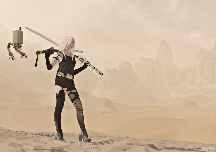   2  Nier:Automata