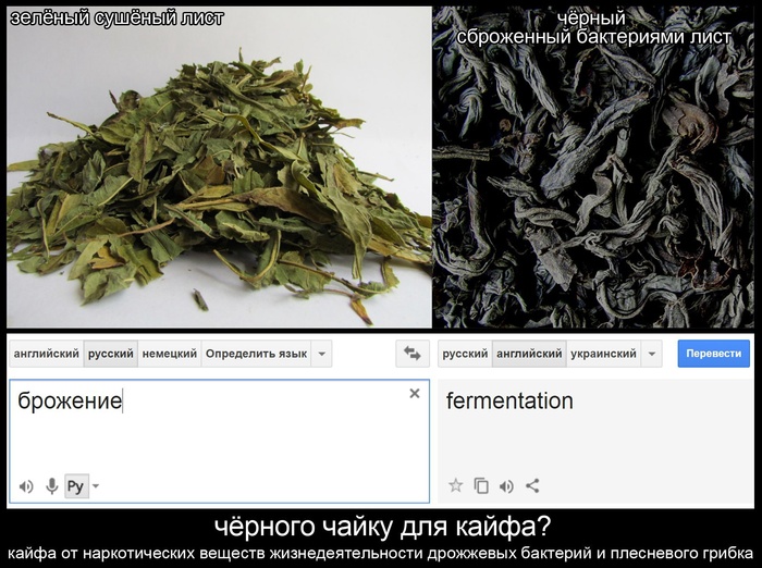    fermentation -   ? , , -, , 