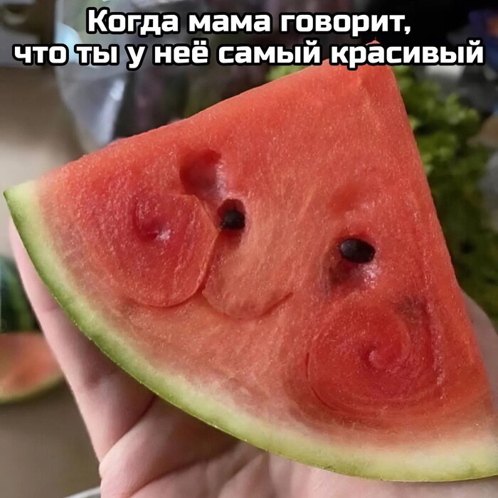   ,   , , , , Telegram ()