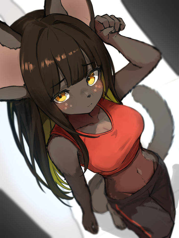 Tani , , , Furry Cat, Lilkon