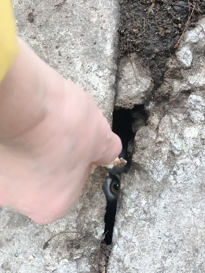    ,     , ,  ,  ,  , , , , , ,  , ,  ,  , 