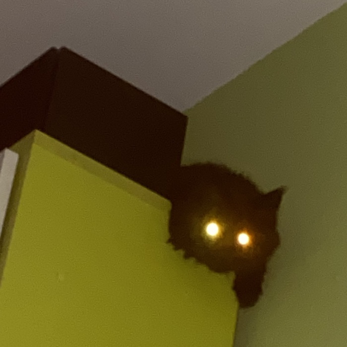  , 