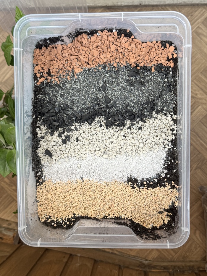 Грунт, в котором всё растёт