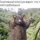 ������ ������������ user10546088