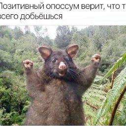 user10546088