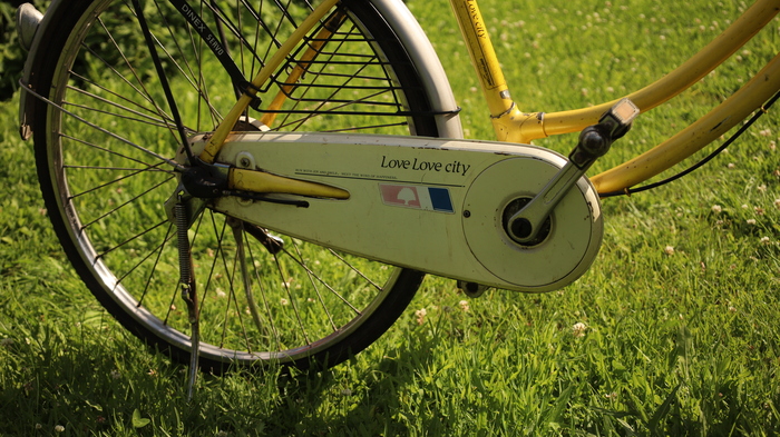 Вот этой защиты цепи я и думал что над мной будут смеяться, ну и и за цвета конечно.