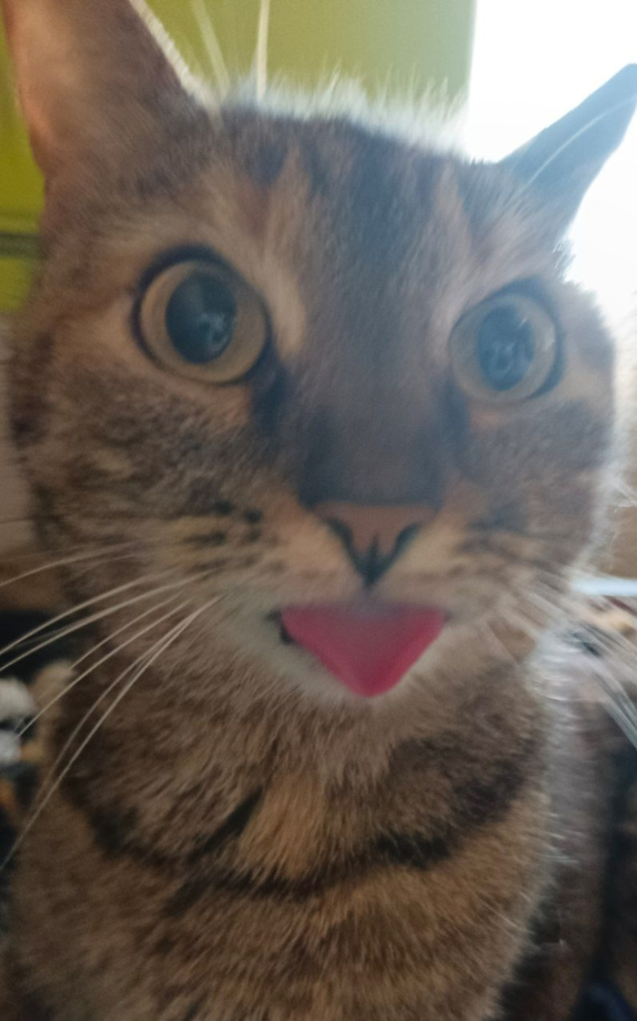     , 