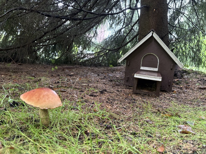 Домик на своем законном месте