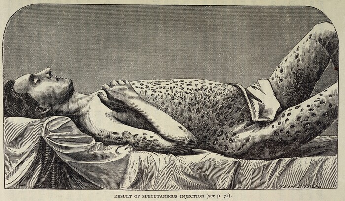  :      ,  (), , , , , , , , 17 , 