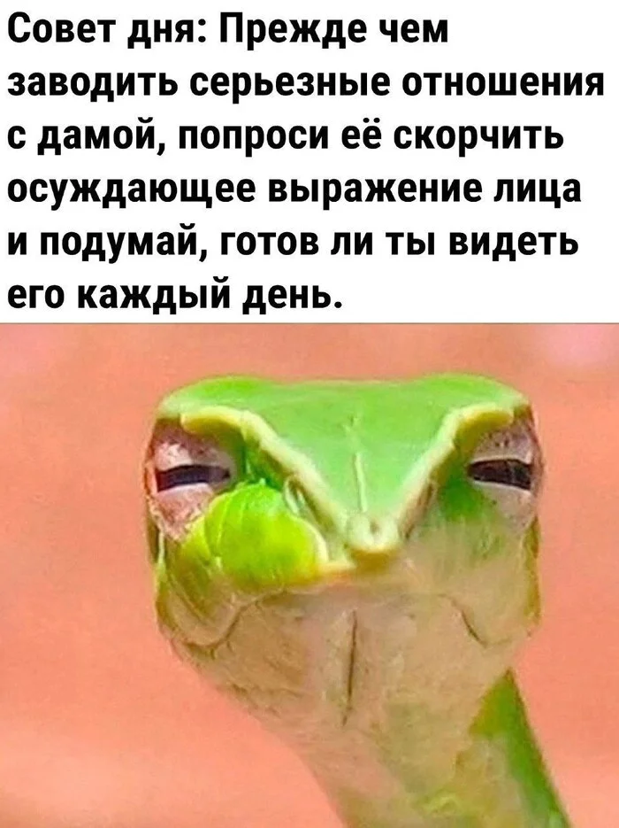 rej2wcqg.webp