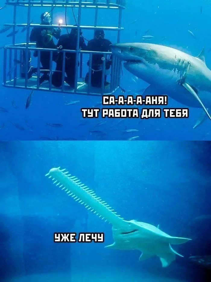 jfy2wzat.webp
